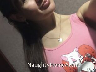 NaughtyHomeAlone