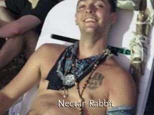 Nectar_Rabbit