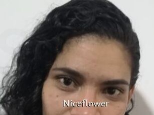 Nice_flower