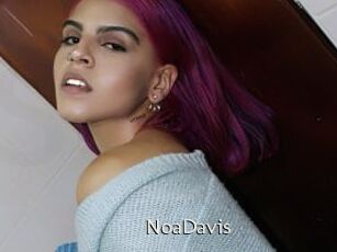 NoaDavis