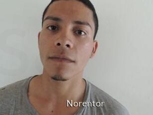 Noren_tor