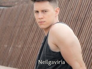 Neilgaviria