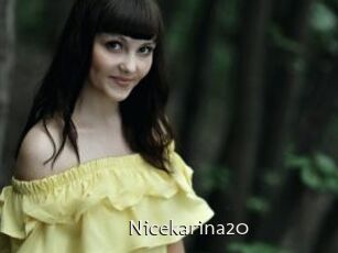 Nicekarina20