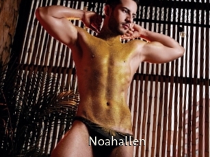 Noahallen