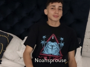 Noahsprouse