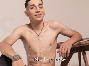 Noahsprouse