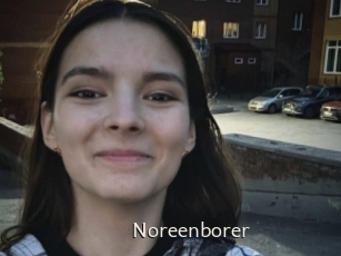 Noreenborer