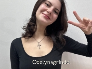 Odelynagrindel