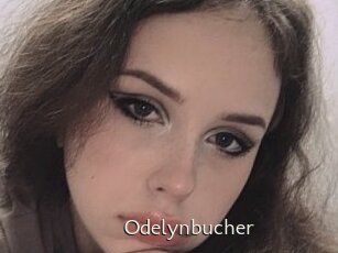 Odelynbucher