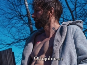 Ottojohnson