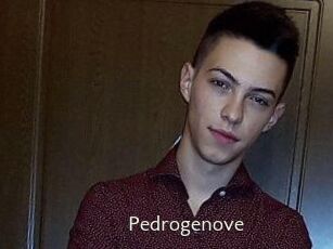 Pedrogenove