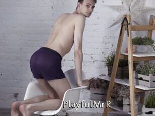 PlayfulMrR