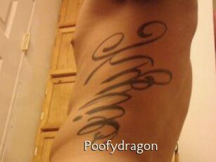 Poofydragon