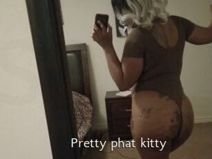 Pretty_phat_kitty