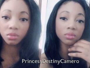 PrincessDestinyCamero