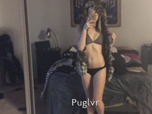 Puglvr