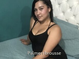 Palmerrbrousse