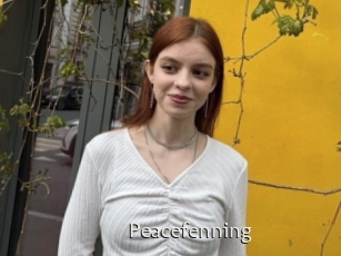 Peacefenning