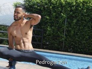 Pedrogarzon