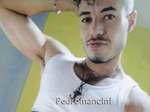 Pedromancini
