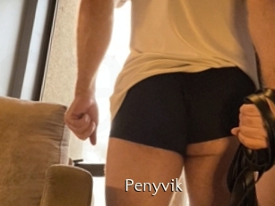 Penyvik