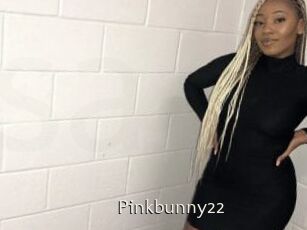 Pinkbunny22