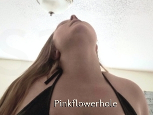 Pinkflowerhole