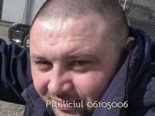 Pituliciul-06105006