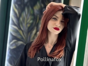 Pollinafox