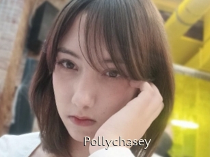Pollychasey