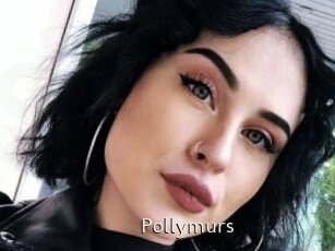 Pollymurs