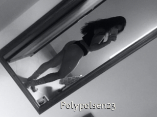 Polypolsen23