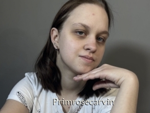 Primrosecarvin