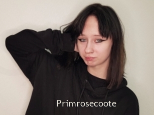 Primrosecoote