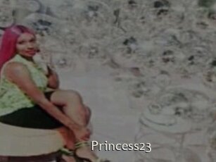 Princess23