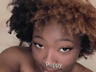 Puppy
