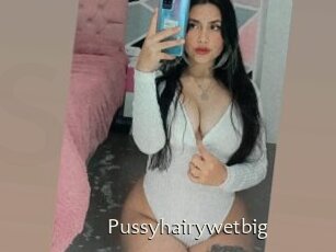 Pussyhairywetbig