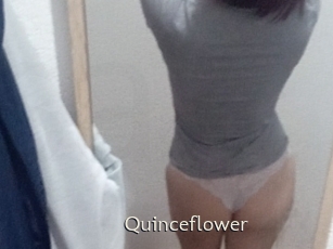 Quinceflower