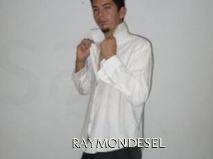 RAYMONDESEL