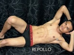 REPOLLO