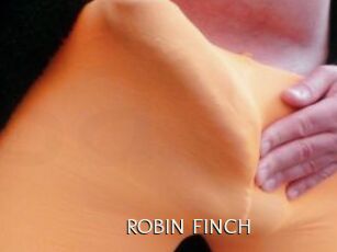 ROBIN_FINCH