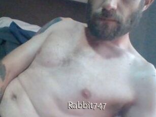 Rabbit747