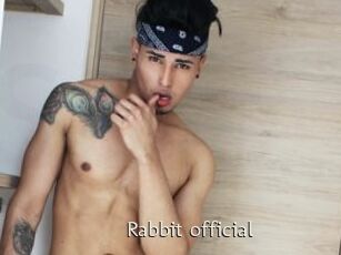 Rabbit_official