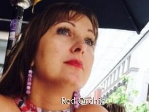 Red_Orchid
