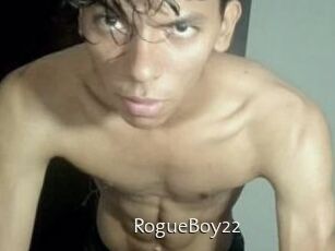 RogueBoy22