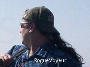 RogueVoyeur