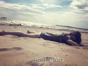 Rosehip_May
