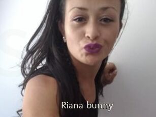Riana_bunny