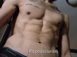 Rippedasian66