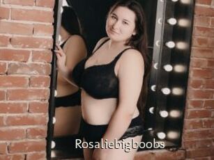 Rosaliebigboobs